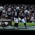 Las Vegas Raiders vs. Jacksonville Jaguars Highlights | 2024 Week 16 | NFL