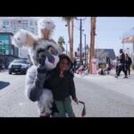 MLK Day Parade Recap | 1.20.2025