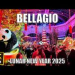 Bellagio Las Vegas Walk – January 2025 – Bellagio Conservatory Lunar New Year Display