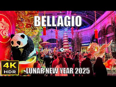 Bellagio Las Vegas Walk - January 2025 - Bellagio Conservatory Lunar New Year Display