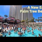 This Just Opened in Vegas… and It’s a Whole New Vibe 🌴 Palm Tree Beach Club Las Vegas