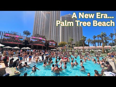 This Just Opened in Vegas… and It’s a Whole New Vibe 🌴 Palm Tree Beach Club Las Vegas