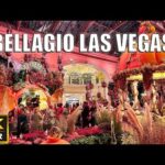 Bellagio Las Vegas Walk – September 2025 – Autumn Bellagio Conservatory