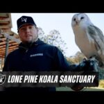 Jackson Powers-Johnson Visits Pet Sanctuary and Takes in the Views of Brisbane