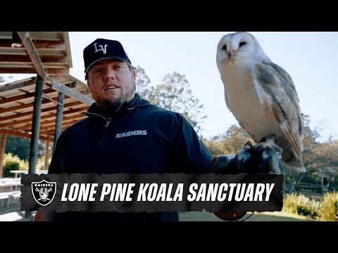 Jackson Powers-Johnson Visits Pet Sanctuary and Takes in the Views of Brisbane
