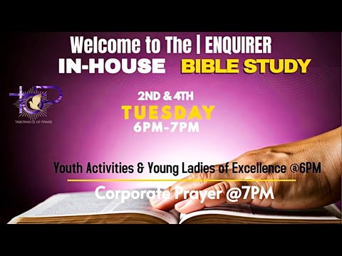 Welcome To THE ENQUIRER | Interactive ~ In-Person ~ Bible Study | *LIVE* | 1 Timothy 5-3-16
