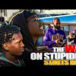 The War On Stupidity Starts Here!